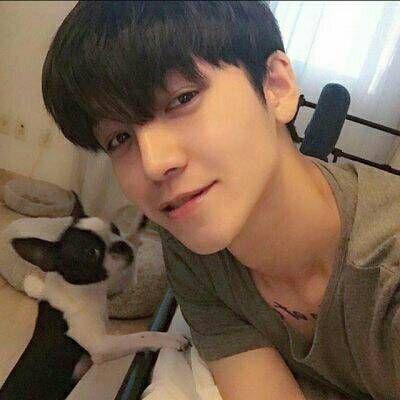 杰哥牛
